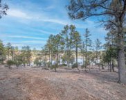 1804 E Desert Mimosa, Payson image