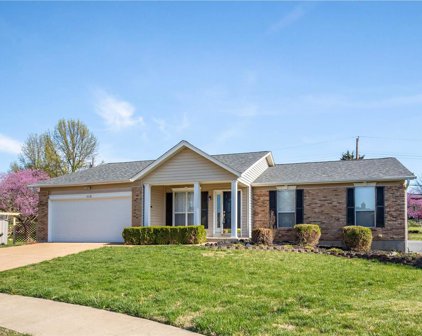 4118 Saddle Back  Court, St Louis