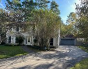 16 Spicebush Court, The Woodlands image