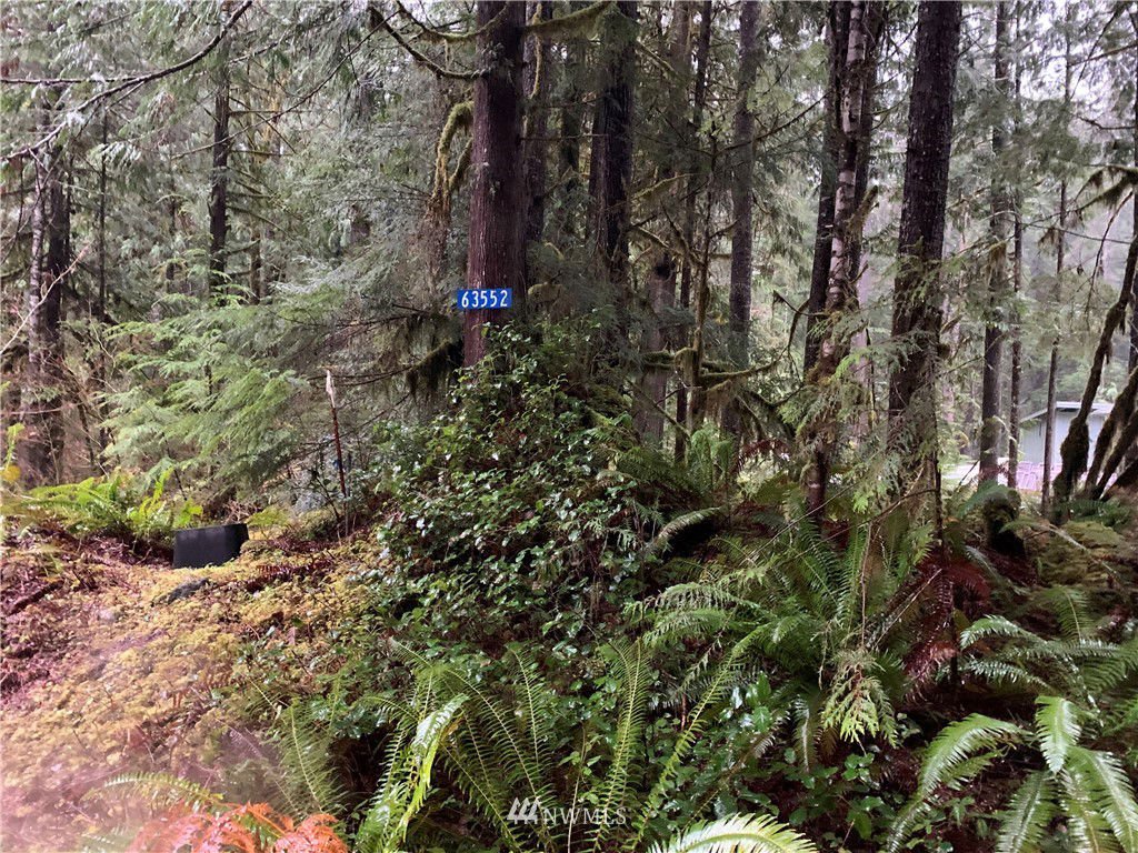 Marblemount Real Estate Homes for Sale 63552 Marblemount Way Unit 