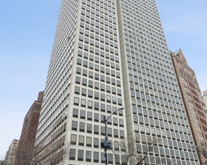1100 N Lake Shore Drive Unit #5C, Chicago