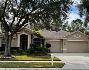 3900 Mimosa Place, Palm Harbor image