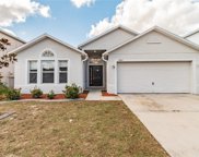 10447 Fly Fishing Street, Riverview image