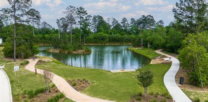 83 Perennial Canyon Drive, Tomball
