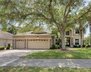 4006 Greystone Drive, Clermont image