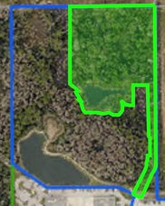 Forest Lakes Boulevard, Oldsmar image