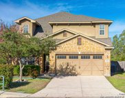 23015 Cardigan Chase, San Antonio image