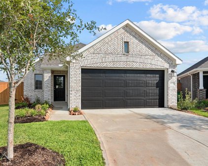 8427 Blue Shell Lane, Cypress
