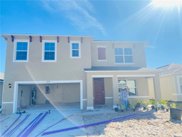 1139 August Sky Drive, Osteen image