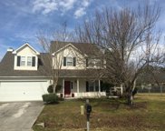 651 Hickory Branches Drive, Belville image