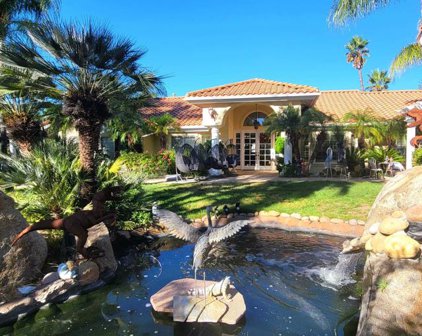 10010 Circa Valle Verde, El Cajon