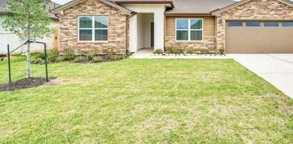 3331 Balboa Grove Lane, Missouri City