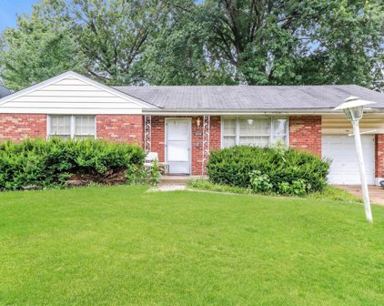 1206 Astoria  Drive, St Louis