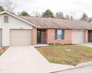 7938 Intervale Way, Powell image