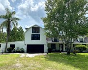 3777 Pine Pitch Court, Ormond Beach image