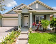 13617 Darchance Road, Windermere image