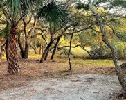 1211 Tabby Drive, Folly Beach image