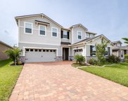 2082 Suwannee Banks Street, Clermont image