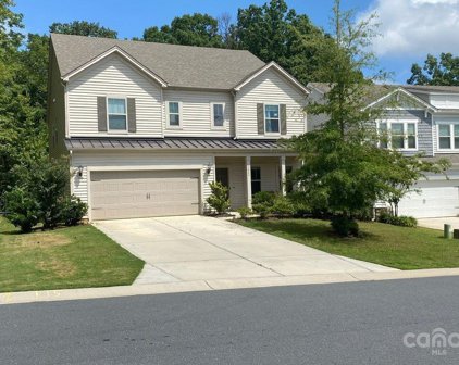 3043 Cedric  Court, Fort Mill