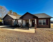 203 Jessica Mines Way, Wellford image