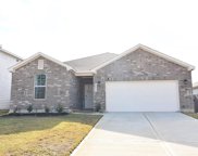 10811 Violet Bloom Drive, Tomball image