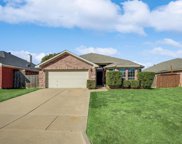 3960 Silver Springs  Drive, Fort Worth image