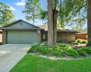 2503 Sherwood Hollow, Alamo image