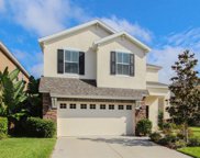 16114 Starling Crossing Drive, Lithia image