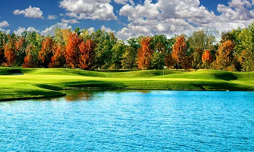 Indian Land Homes for Sale