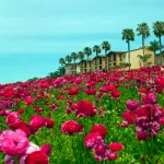 CARLSBAD