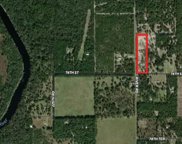 7462 RIVER ROAD, Live Oak image