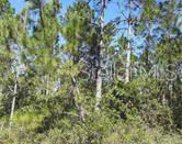 S Fork Ranch Drive, Clermont image