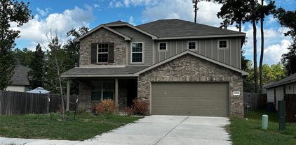 4203 Hidden Timbers Lane, Conroe