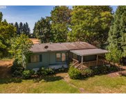 33424 DEVER CONNER RD, Albany image