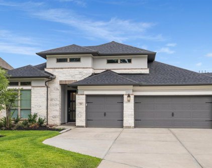 234 Patina Sorrel Drive, Montgomery