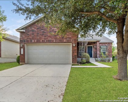11215 Rose Canyon, Helotes