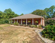 69 Sunnyvale Dr., Petal image