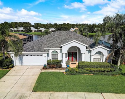 5342 Spectacular Bid Drive, Wesley Chapel