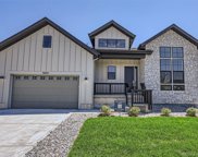 5622 Shadescale Way, Castle Rock image