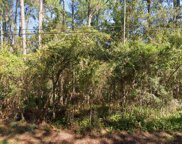 1265 Whispering Pines Rd, Fruit Cove image