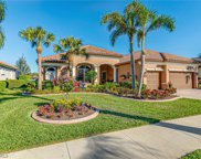 11035 Longwing  Drive, Fort Myers image