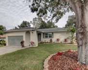 3174 Orchard Drive, Palm Harbor image