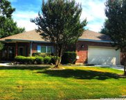 3628 Elm Ct, Schertz image