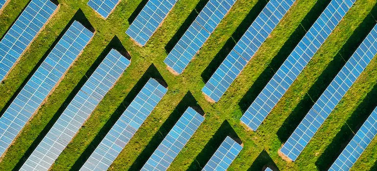 solar panels surrounded by greenery