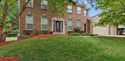 2286 Downey Terrace  Drive, Ellisville