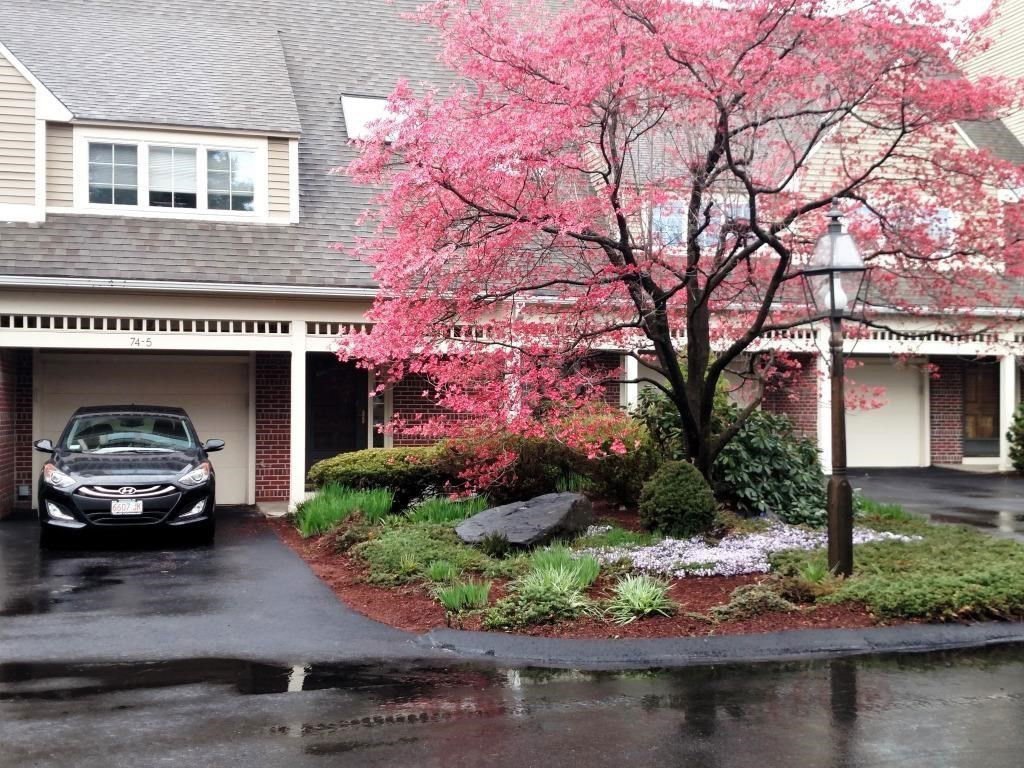 74 S Quinsigamond Ave Unit 5, Shrewsbury, 01545