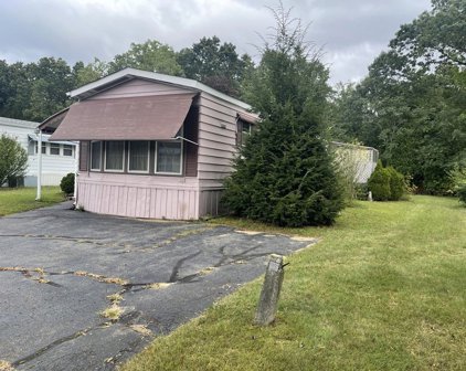 52 Contessa, Springfield