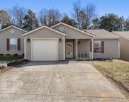 1138 Firethorne Way, Knoxville image