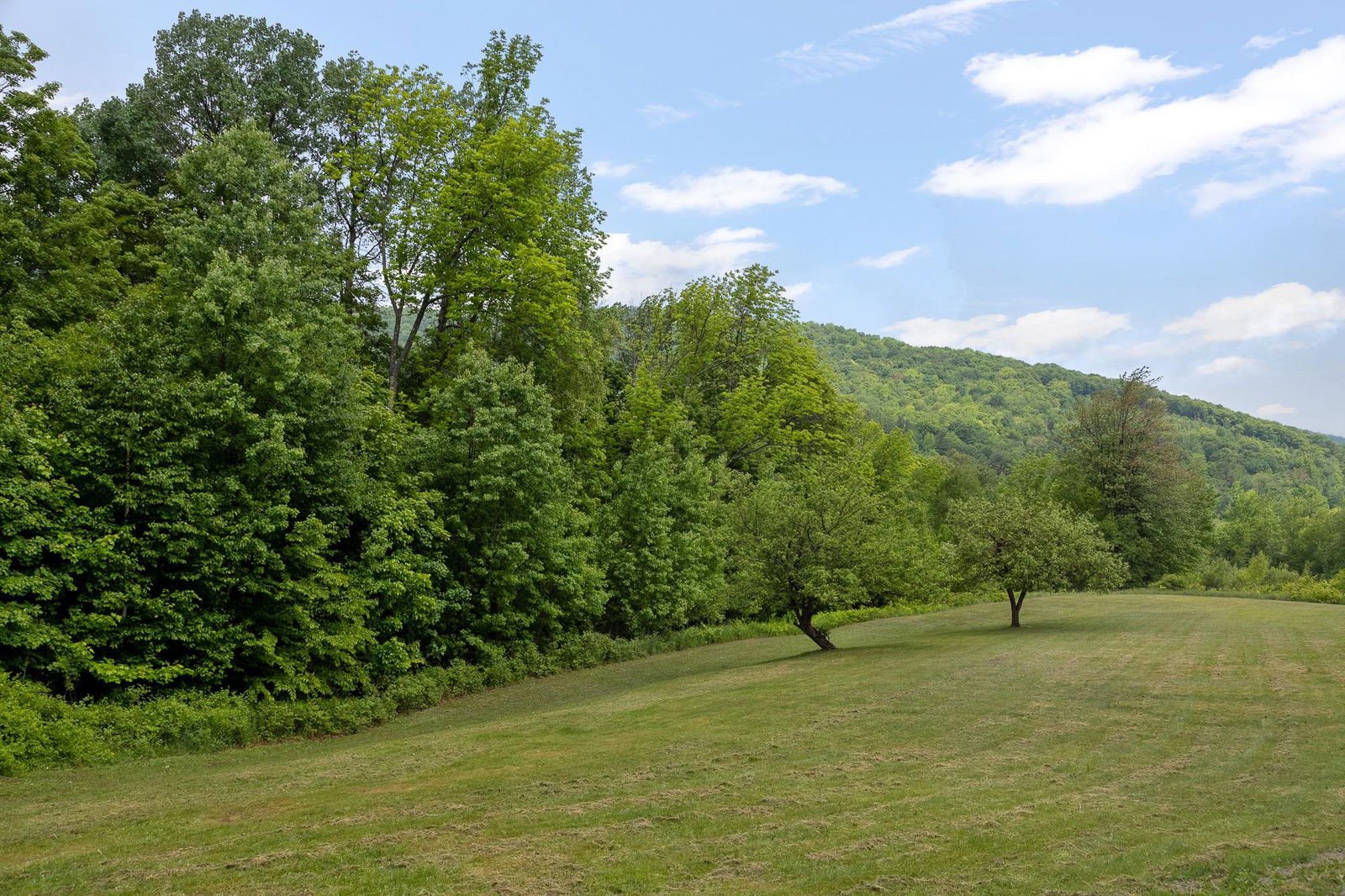 334 Devlin Road, Duxbury, 05676