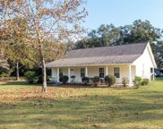 2436 CR 249, Live Oak image